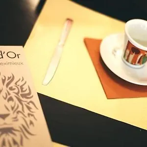 Hotel Restaurant Le Lion D'or Meximieux